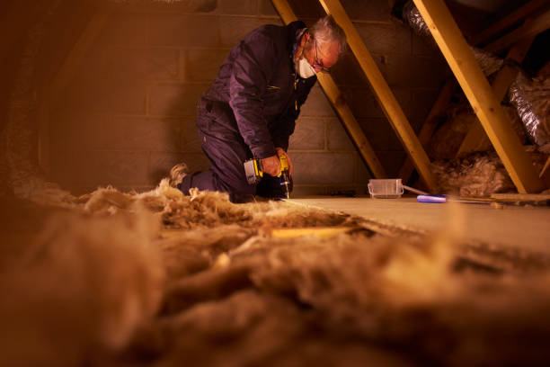 Best Eco-Friendly or Green Insulation Solutions  in Chilton, WI